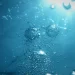 EDP Renewables y Lhyfe se unen para el desarrollo de proyectos de hidrógeno renovable