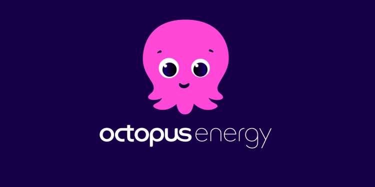 octopus energy