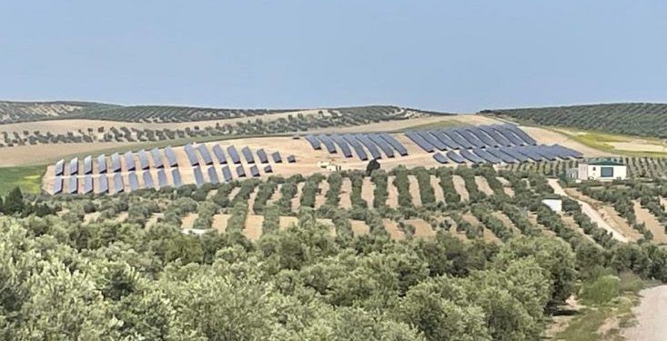 Regantes de Jaén denuncian pérdidas por no poder vender su excedente de energía