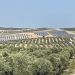Regantes de Jaén denuncian pérdidas por no poder vender su excedente de energía