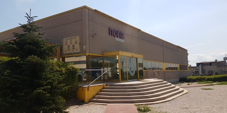 grupo noria