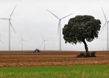 Iberdrola busca proyectos que impulsen una agricultura y una ganadería cero emisiones