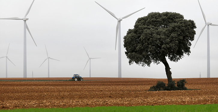 Iberdrola busca proyectos que impulsen una agricultura y una ganadería cero emisiones