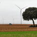 Iberdrola busca proyectos que impulsen una agricultura y una ganadería cero emisiones