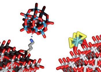 TU Wien: Modelos estructurales de los dos cúmulos implicados en el desdoblamiento del agua con la ayuda de la luz.