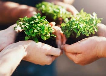 Coca-Cola ha reducido un 45,8% sus emisiones de efecto invernadero en España en la última década