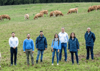 Repsol, Naturgy y Reganosa impulsan un proyecto de economía circular en Galicia