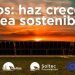 Soltec. Programa Helios.