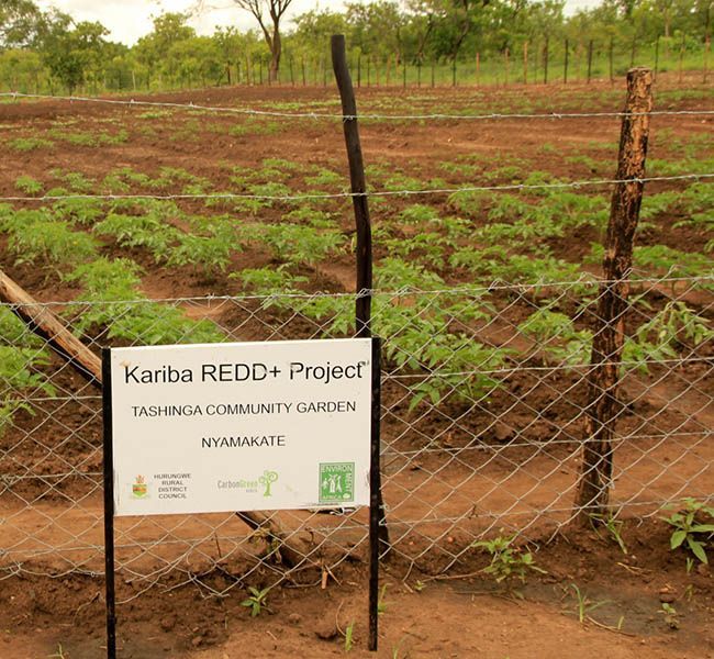 Proyecto Kariba REDD+