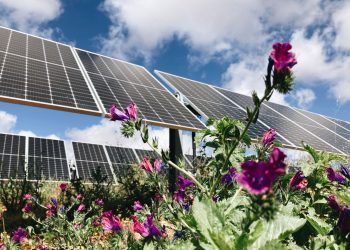 FRV consigue financiación para Camonita Norte, el primero de los tres proyectos del clúster fotovoltaico de Extremadura