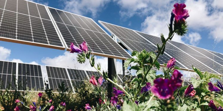 FRV consigue financiación para Camonita Norte, el primero de los tres proyectos del clúster fotovoltaico de Extremadura