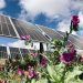 FRV consigue financiación para Camonita Norte, el primero de los tres proyectos del clúster fotovoltaico de Extremadura