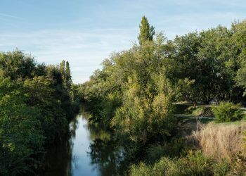 Madrid presenta su Bosque Metropolitano como «la mejor herramienta para luchar contra el cambio climático, la desertificación y la contaminación»