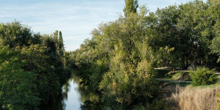 Madrid presenta su Bosque Metropolitano como «la mejor herramienta para luchar contra el cambio climático, la desertificación y la contaminación»