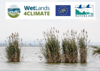 Naturgy colabora en un estudio europeo para conocer el papel de los humedales frente al cambio climático