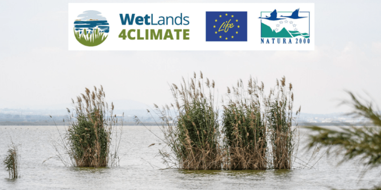 Naturgy colabora en un estudio europeo para conocer el papel de los humedales frente al cambio climático