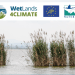 Naturgy colabora en un estudio europeo para conocer el papel de los humedales frente al cambio climático