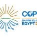 Acaba la COP27