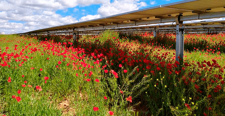 Iberdrola consigue financiación del BEI para instalar placas solares en zonas rurales de Portugal