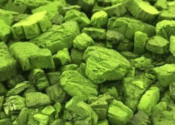 El Gobierno apoya los bioestimulantes para impulsar una agricultura sostenible