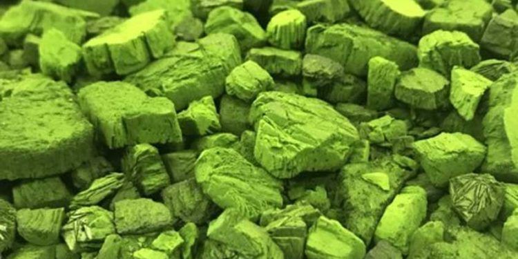 El Gobierno apoya los bioestimulantes para impulsar una agricultura sostenible