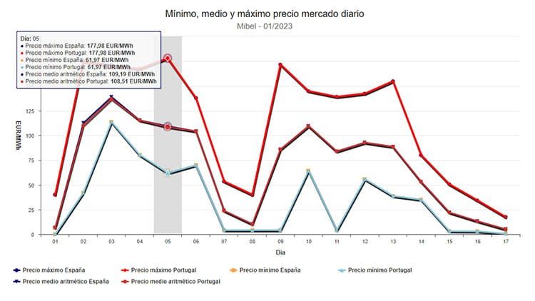 OMIE. Mercado diario de enero.