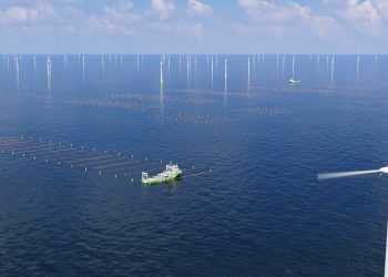 Amazon financia la primera granja de algas marinas a escala comercial del mundo ubicada entre turbinas eólicas