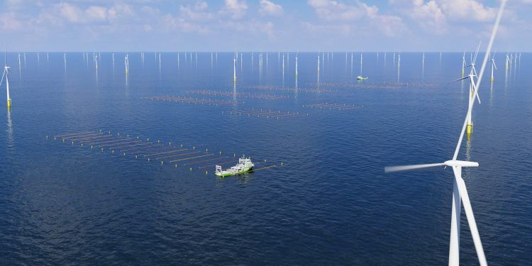 Amazon financia la primera granja de algas marinas a escala comercial del mundo ubicada entre turbinas eólicas