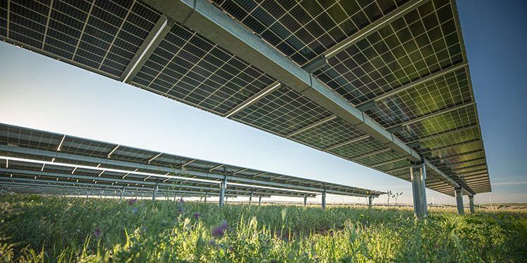 Proyectos fotovoltaicos.