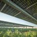 Proyectos fotovoltaicos.