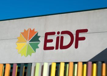 eidf