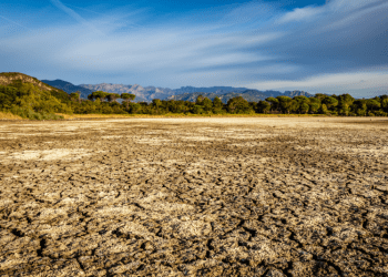 Las consecuencias de la falta de formación de los jueces en materia de cambio climático