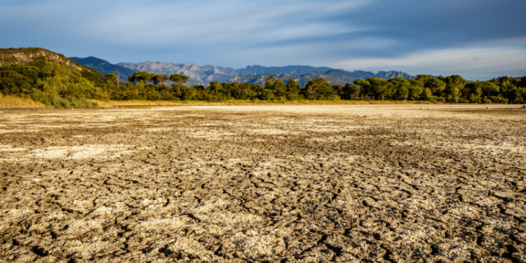 Las consecuencias de la falta de formación de los jueces en materia de cambio climático