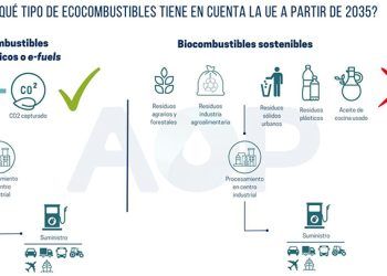 Infografía de la AOP sobre ecocombustibles.