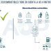 Infografía de la AOP sobre ecocombustibles.
