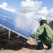 robos en las plantas fotovoltaicas