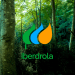 Iberdrola actualiza su logotipo para hacerlo más sostenible