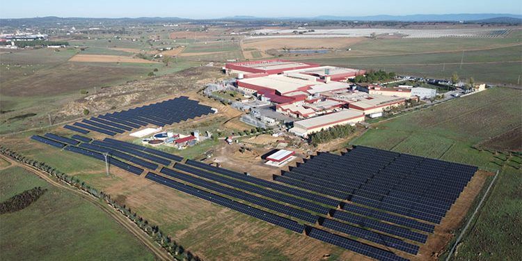 Mafresa ha encargado a Alterna Energía la ampliación de su instalación fotovoltaica en Fregenal de la Sierra.