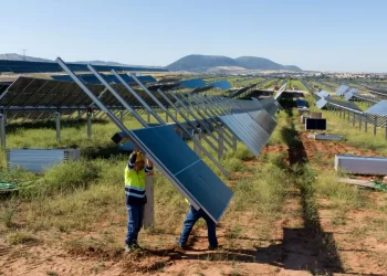 paneles solares