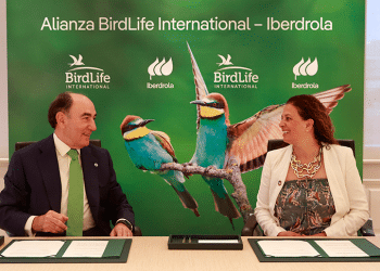 Iberdrola firma una alianza con Birdlife International para proteger la biodiversidad