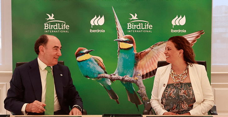 Iberdrola firma una alianza con Birdlife International para proteger la biodiversidad