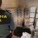 El primer cuerpo policial español que registra la huella de carbono de sus servicios en la OECC