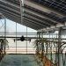SMART CLIMATE AGRI-PV.