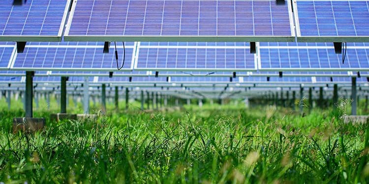 Ayesa participa en el proyecto VidVOlt 4.0 para optimizar la producción de vino.