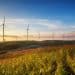 iberdrola