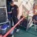 combustibles renovables