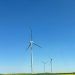 iberdrola