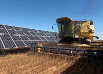 lino solar