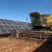 lino solar