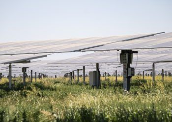 Grenergy firma un PPA con Enel para una de sus plantas solares en Perú